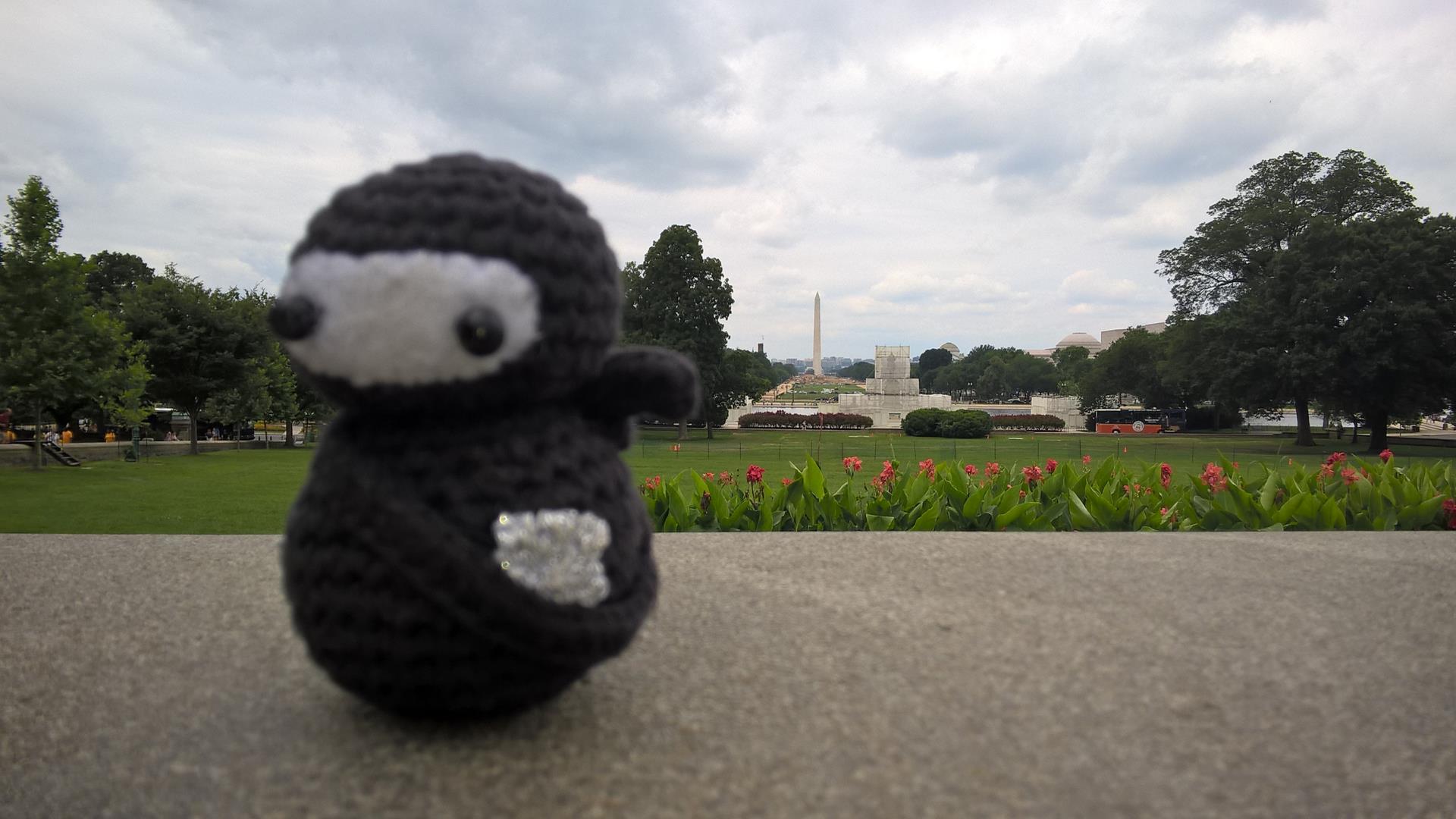 Im Hintergrund das Washington Memorial mal bei Tageslicht