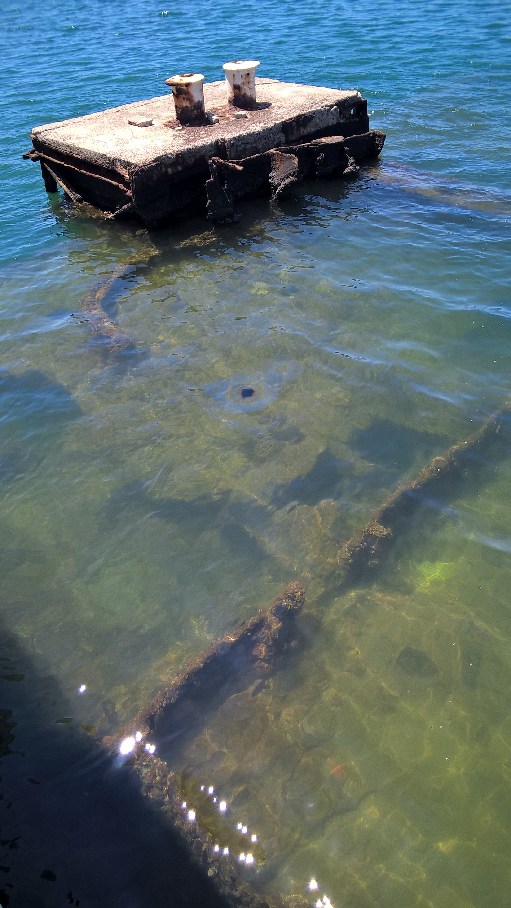 ... ein paar Meter unter der Wasseroberfläche