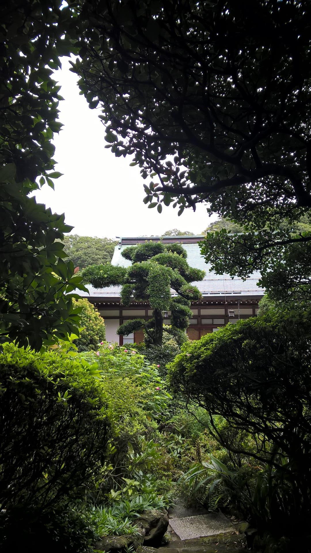 Der Tempel vom Garten aus