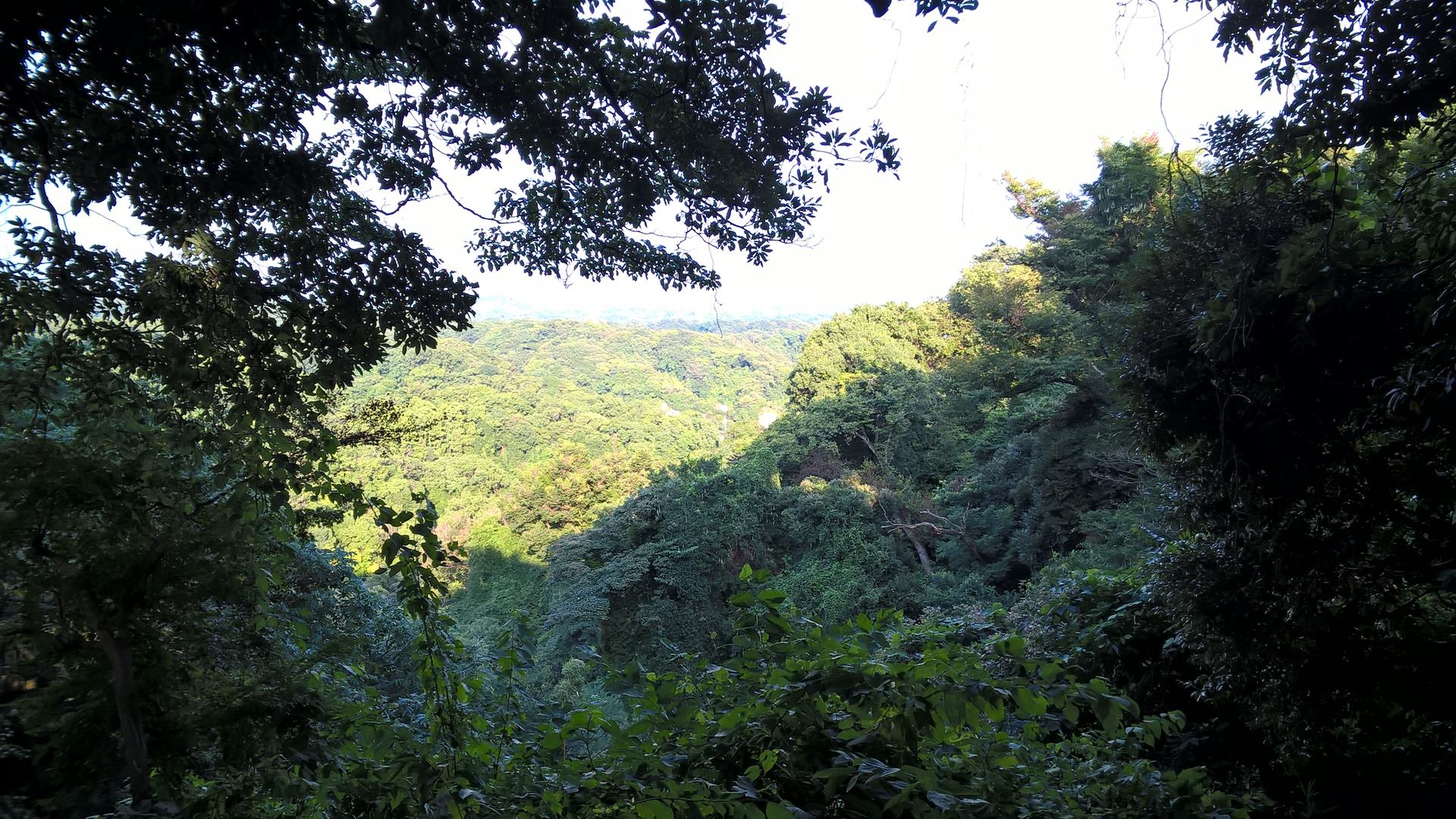 Auf dem Weg zum nächsten Tempel ging es mal wieder quer durchs Grüne