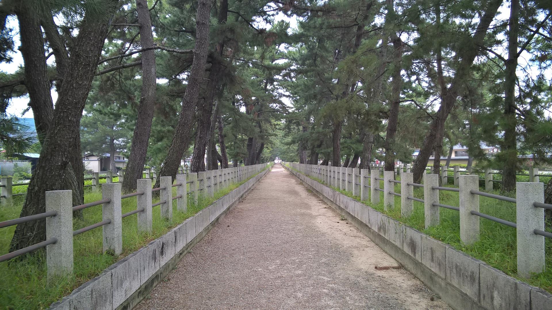 Der Weg zum Tempel zieht sich ganzschön