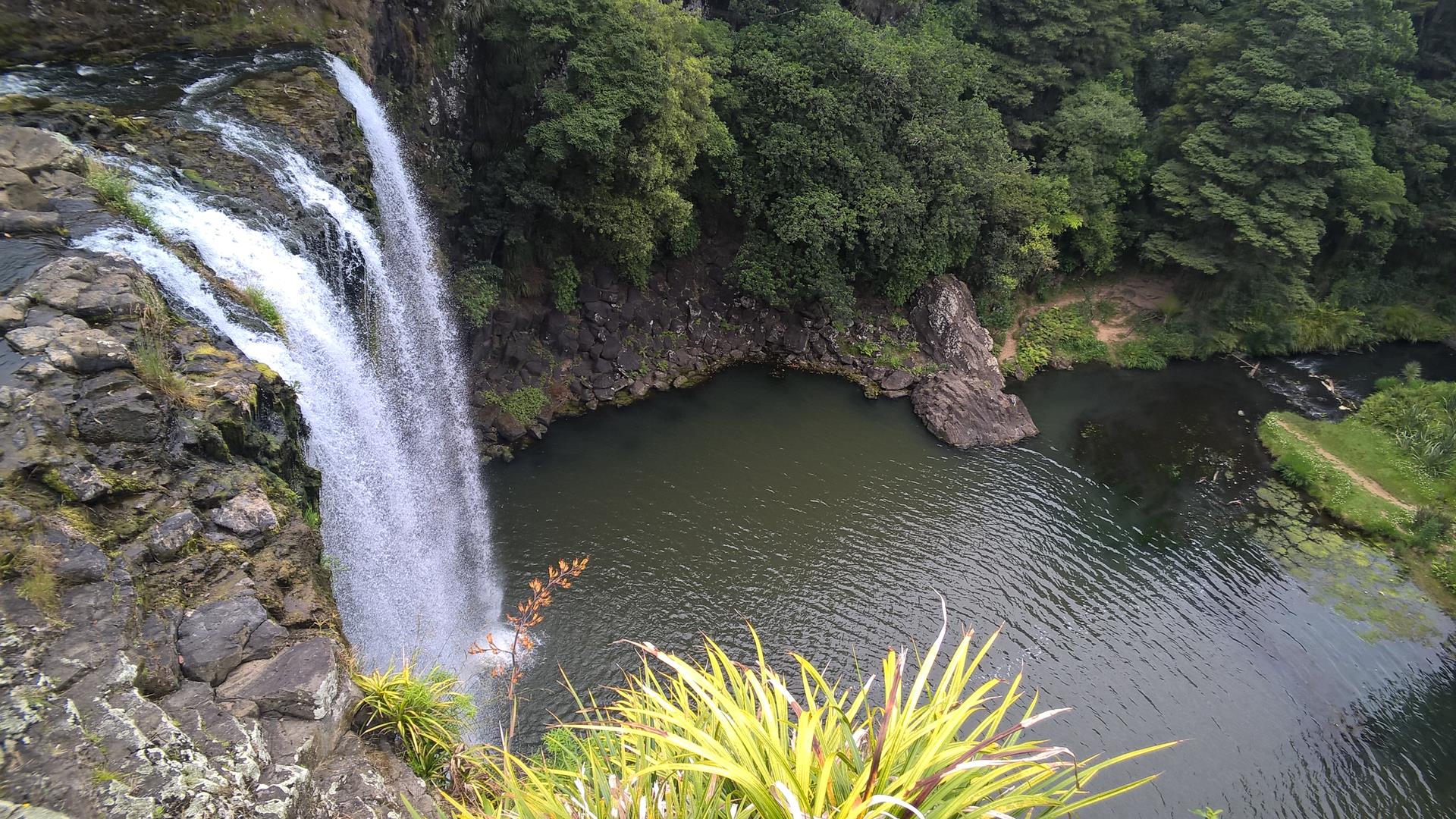 Kurzer Stop am Wasserfall von Whangarei