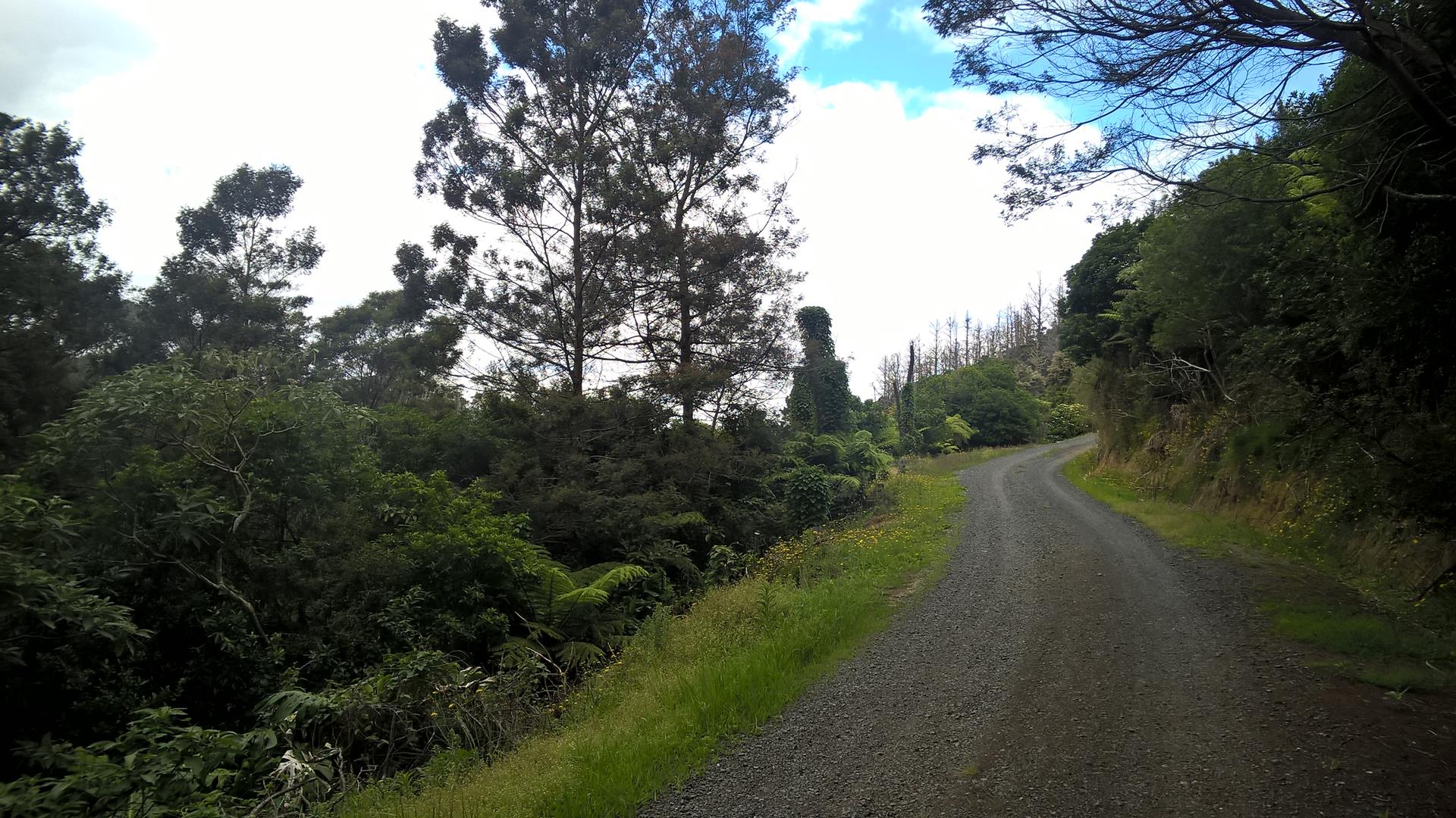 Auf dem Wanderweg nach Okiato